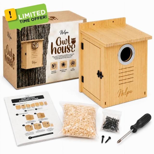 Owl Box for Outside