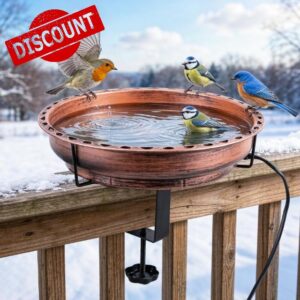 Heated Bird Baths for Outdoors