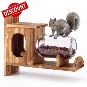 Squirrel Feeder for Outside Funny Chipmunk Feeder