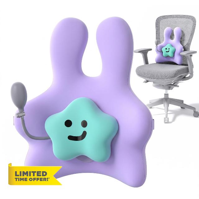 Inflatable Lumbar Support Pillow for Office Chair Memory Foam Back Cushion                                                          Adjustable Back Pillow for Chair