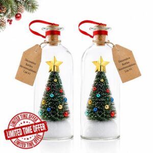 Christmas Message in a Bottle