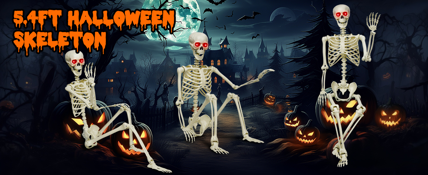 Halloween Skeleton