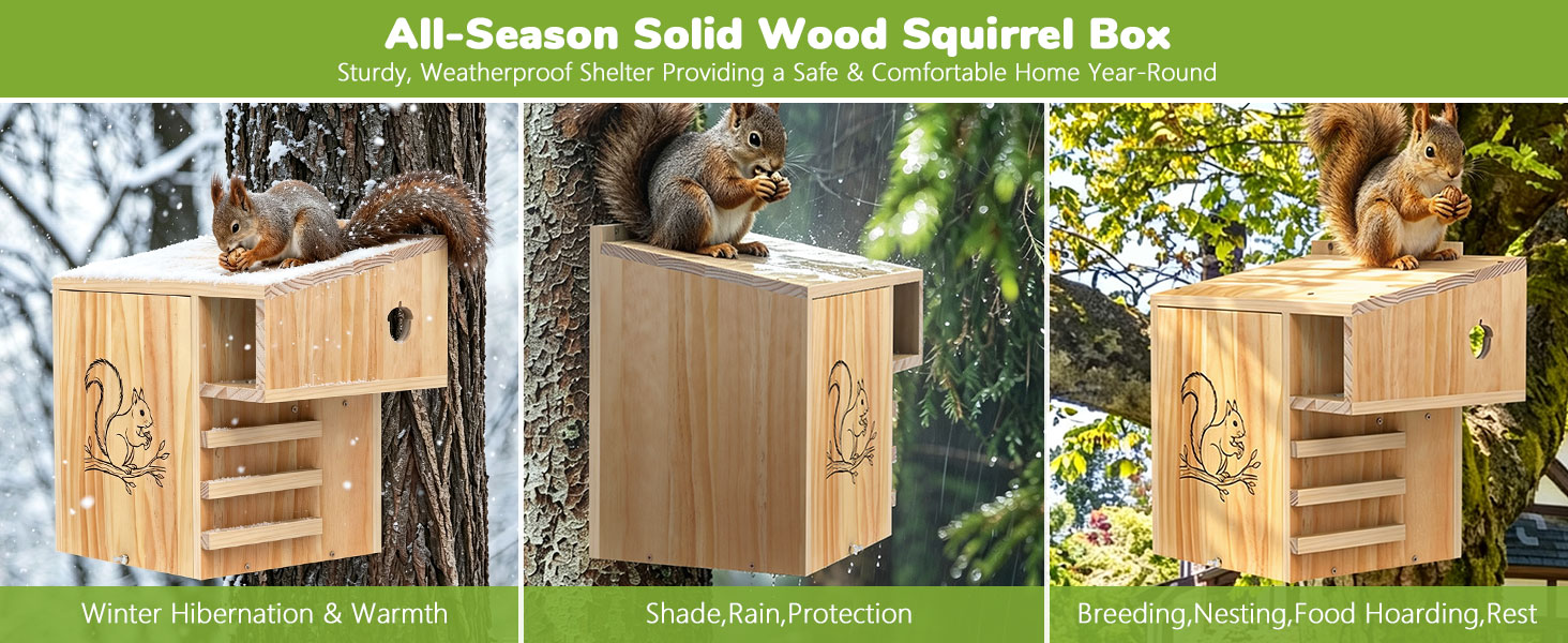 squirrel house
