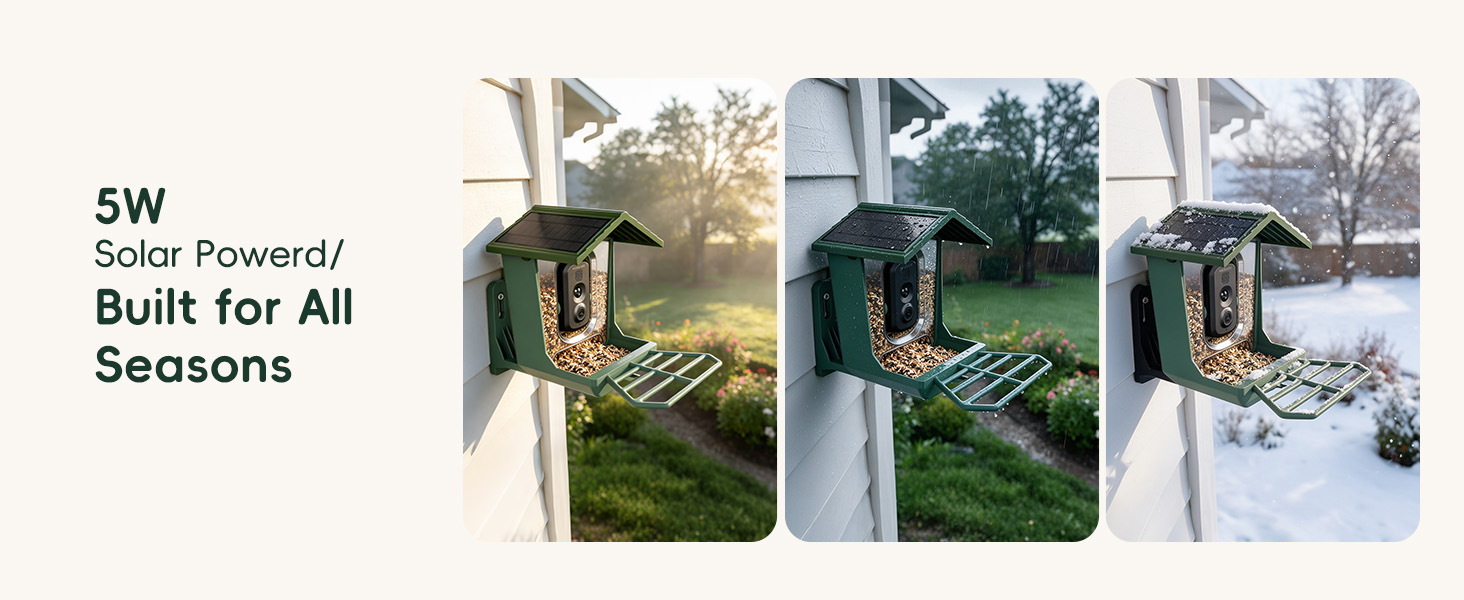 smart bird feeder