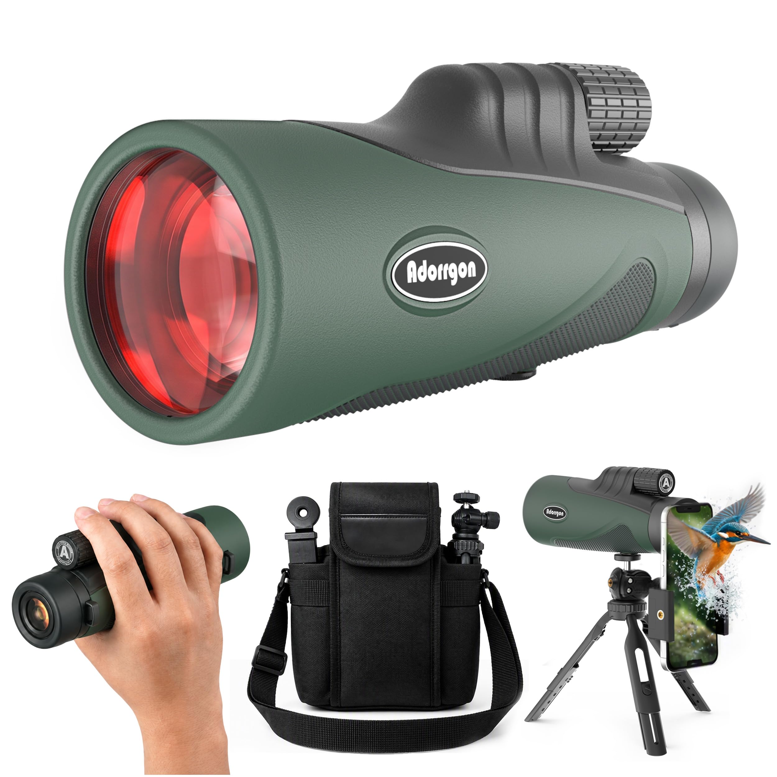 Camping and Wildlife Viewing
