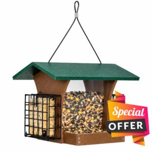 BE Sierra Plastic Lumber Hopper Bird Feeder w/Suet Cages                                                          Center tray