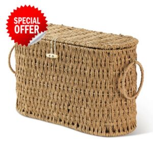Endymion Toilet Paper Storage Basket with Lid