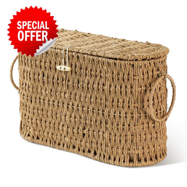 Endymion Toilet Paper Storage Basket with Lid