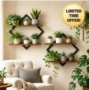 2 Pack Floating Wall Shelves Plant Holders