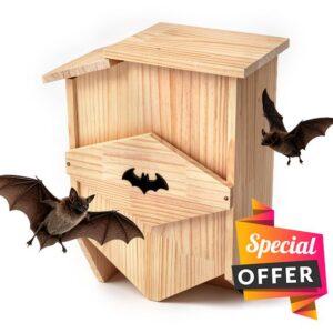 Handcrafted Double Chamber Bat House – Natural Solid Wood Outdoor Bat Shelter