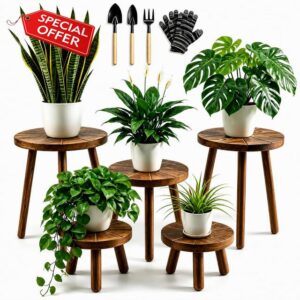 5-Pack Wood Plant Stands Indoor