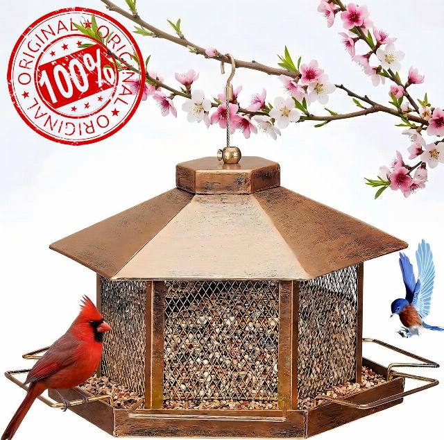 Large Bird Feeder