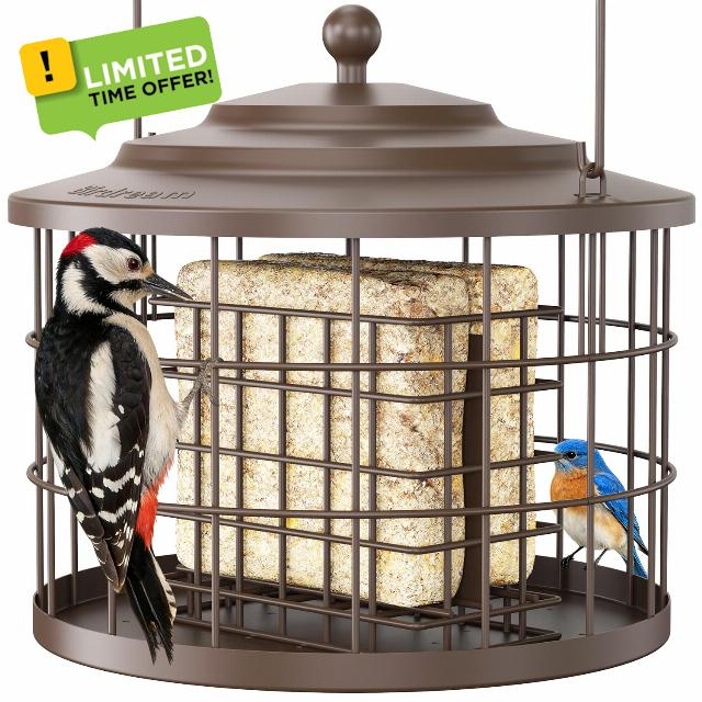 Birdream Suet Feeders