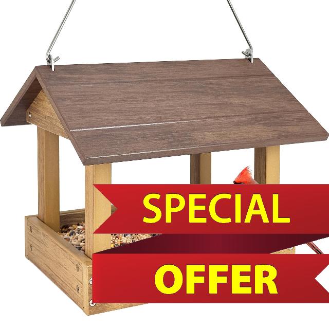 Platform Bird Feeder for Outdoors