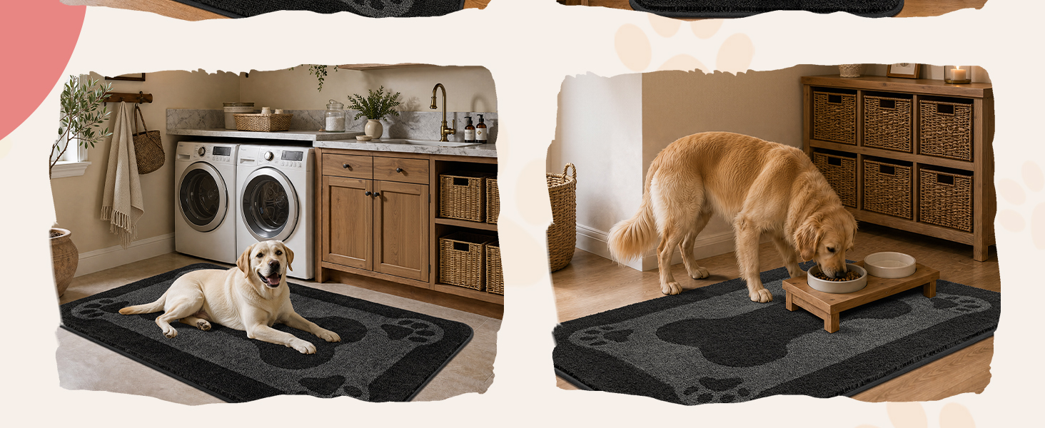 dog rug