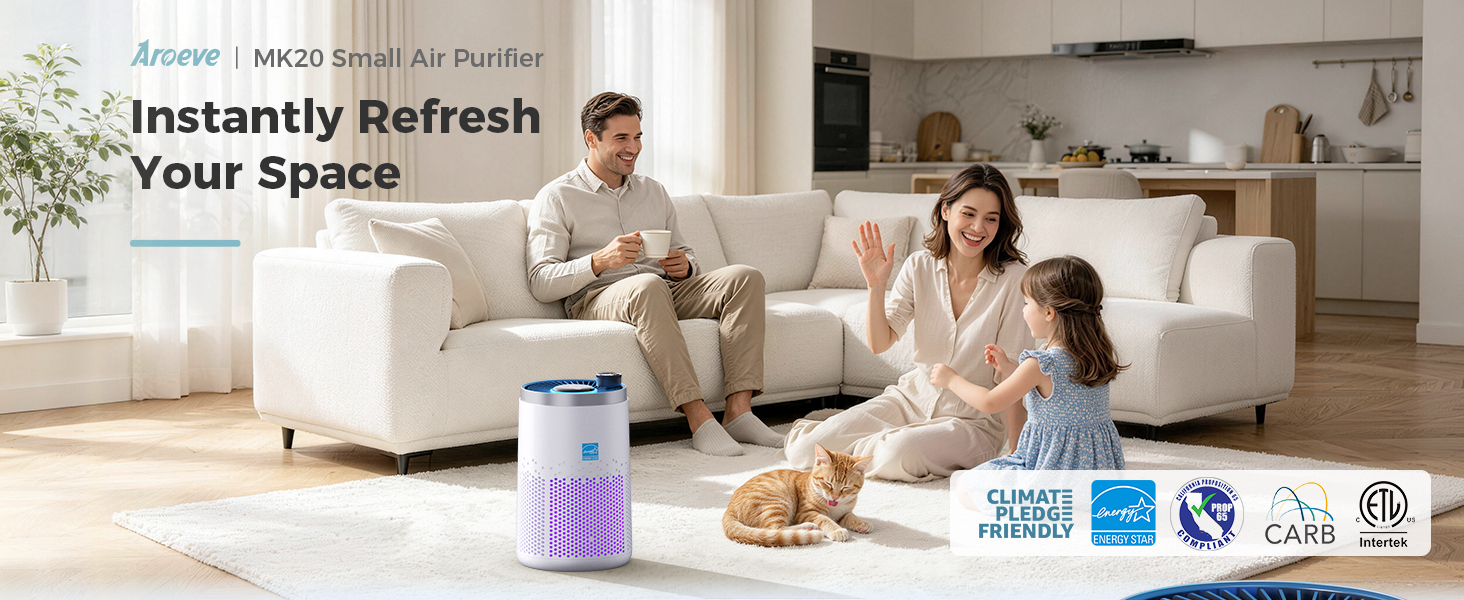 HEPA AIR PURIFIERS FOR HOME BEDROOM WITH ENERGY STAR