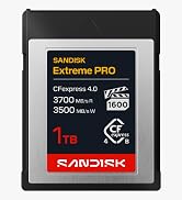SANDISK Ultra 256GB SD Card