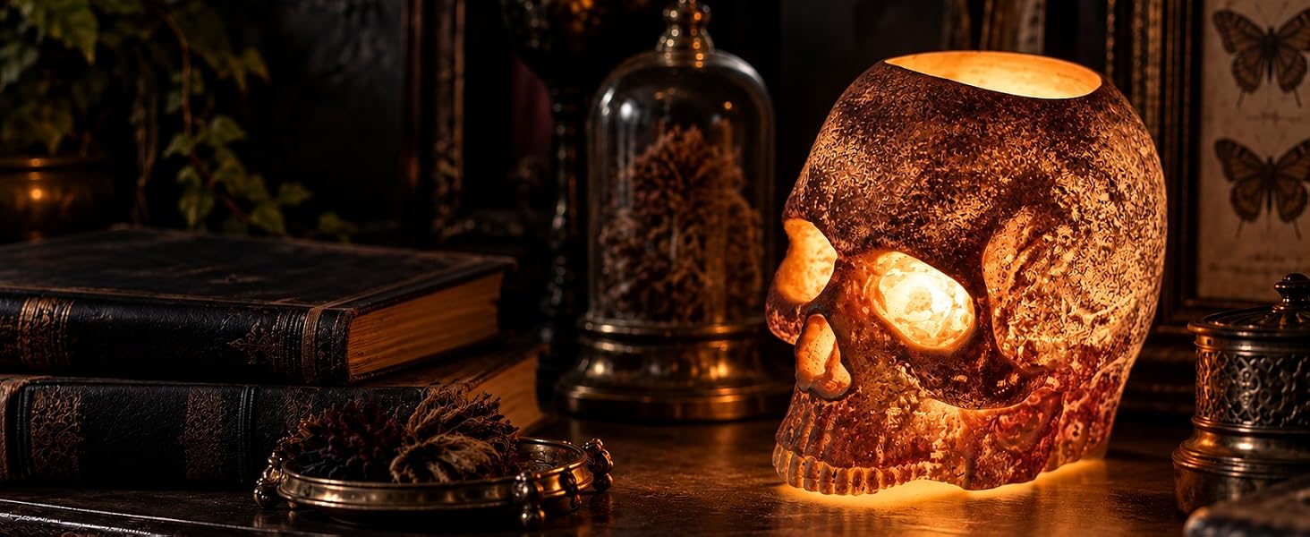 skull in dark
