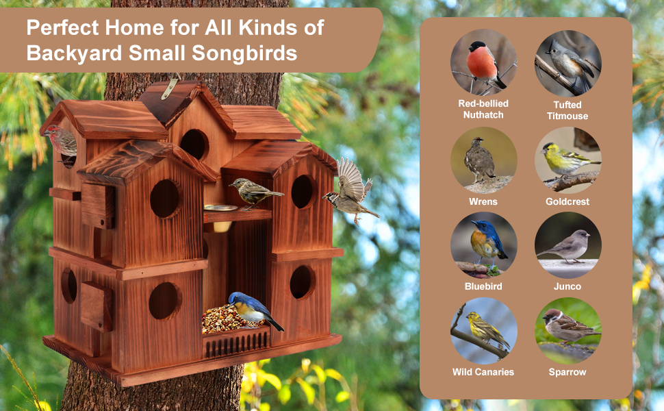 Outdoor bird house with feeding platform, water dish and easy-clean design