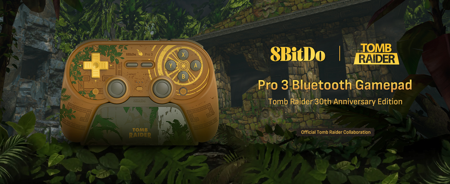 8BitDo