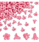 WADORN 8Pcs Cow Boot Pink Ribbon Bow Satin Lace Ribbon with Removable Ring | Cowboy Boot Charm De...