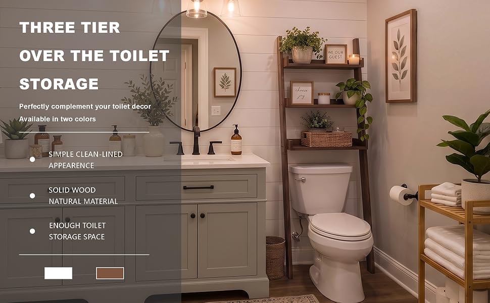 Over-the-Toilet Ladder Shelf