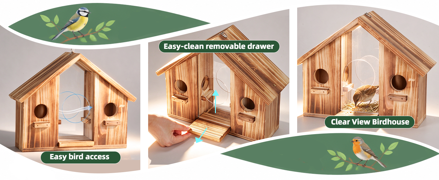 Bird house2