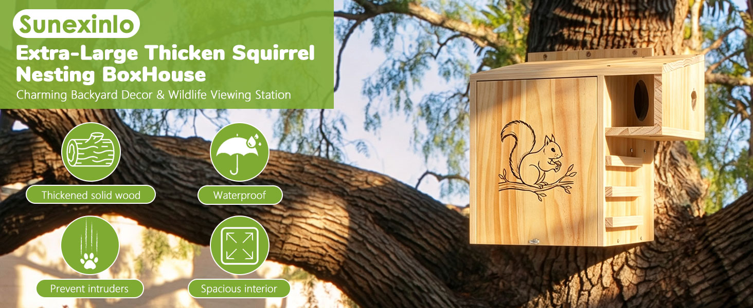 squirrel house