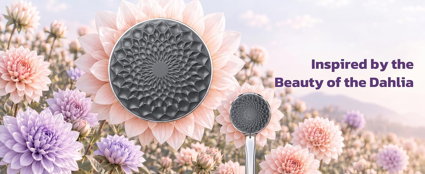 Rain Shower Head with Handheld
