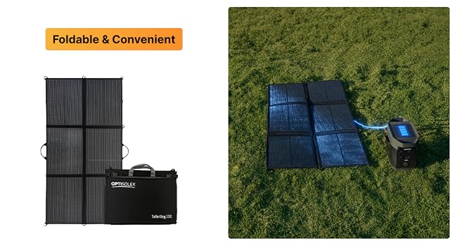 220w
