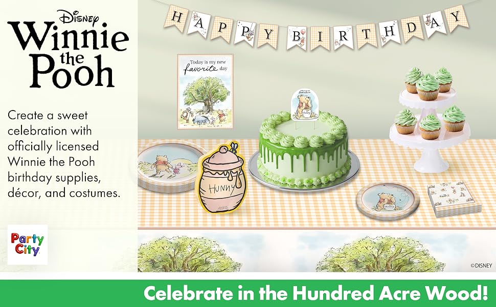 Winnie the Pooh Party