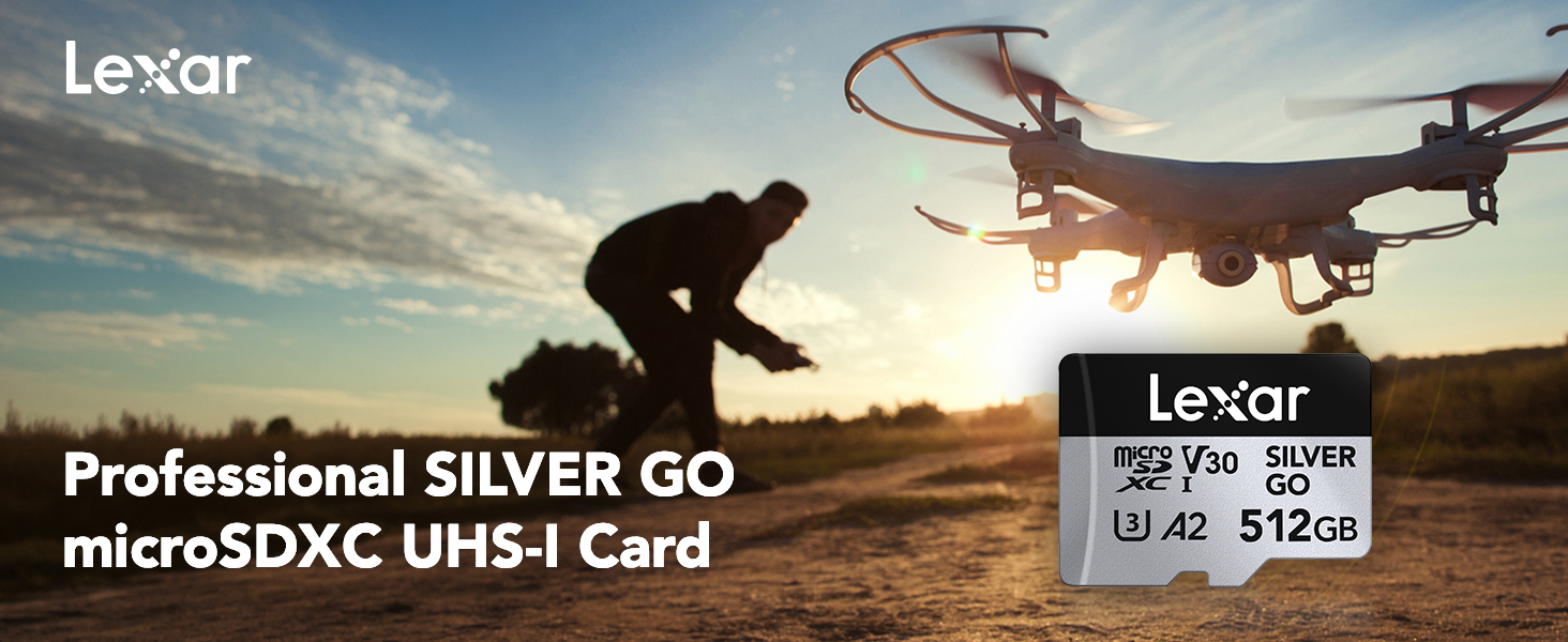Lexar Professional SILVER GO microSDXC UHS-I Card